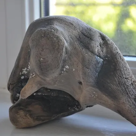 Lulu - Tanie Goscinne Bike & Surf Friendly Wladyslawowo