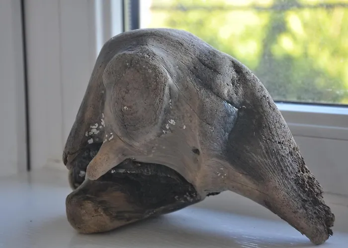 Lulu - Tanie Goscinne Bike & Surf Friendly Władysławowo